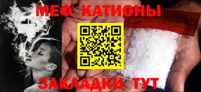 прущие грибы Бердск