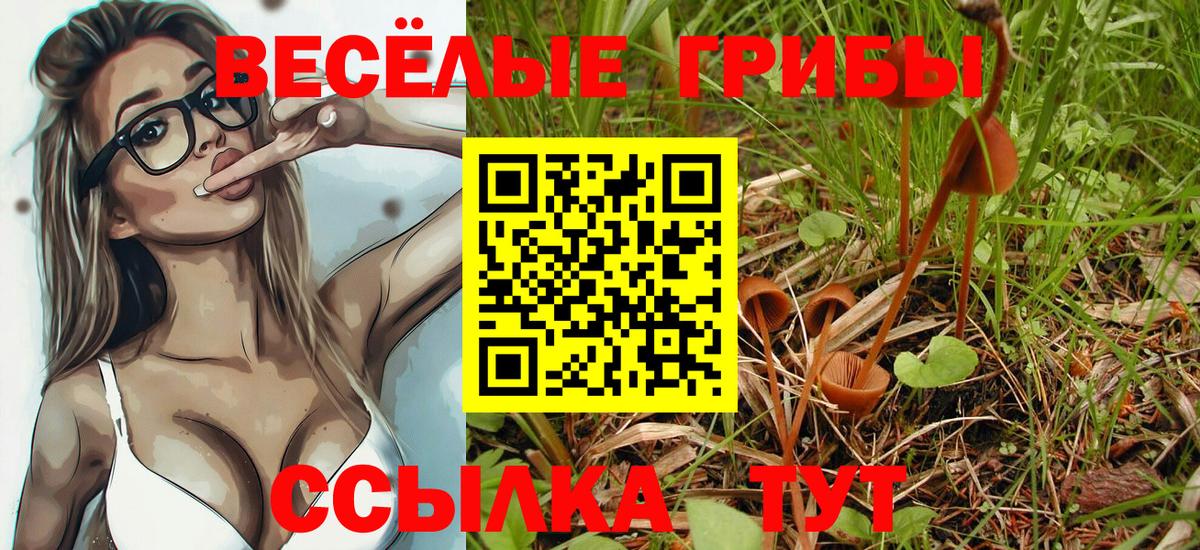 Псилоцибиновые грибы Psilocybe  Псилоцибиновые грибы Cubensis  Вход с VPN  Карталы 